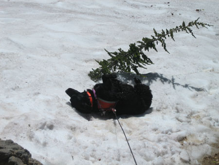 play_in_snow_s_dakota
