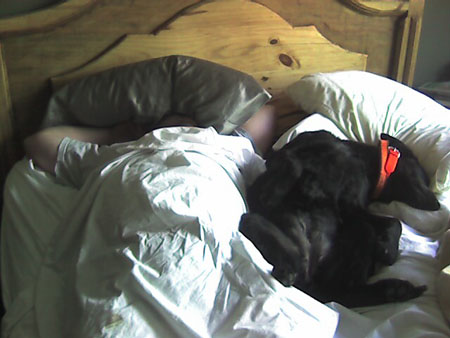 sleepy_head