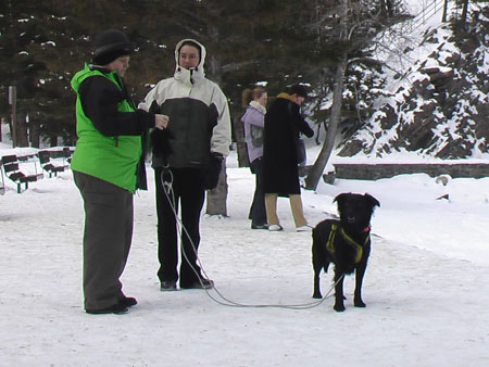 walk_in_banff