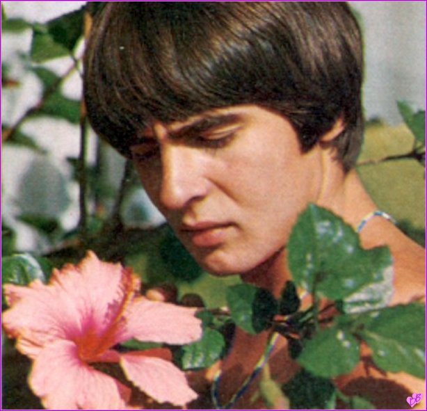 Davy 