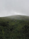 Almost there....after like one and a half hours of climbing...