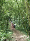 Hiking up to the top.......