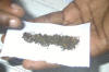 Settling the Weed
