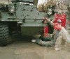 View this gallery!