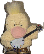 banjoduck