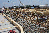 carmenwebsite001002.gif