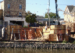 carmenwebsite003001.gif