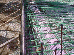 carmenwebsite003006.gif