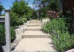 carmenwebsite003007.gif
