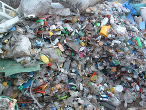 Payatas photo #6