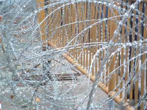 Barbed wire