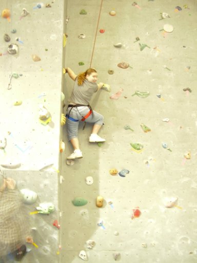 Nicole rock climbing in her PE class.