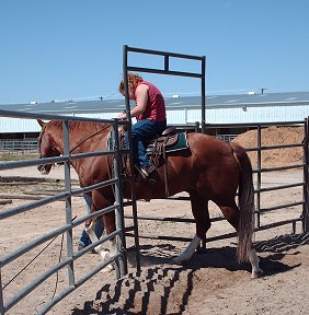 Going through the gate