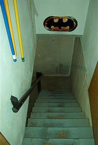 See what's happening in my basement