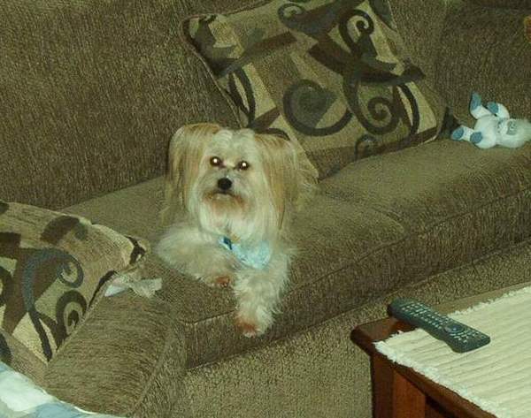 Nellie
