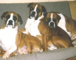 Angel, Jay and Tara (their Mum)