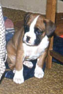 Jay at 5 weeks