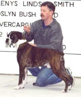 Jerry at 9.5 years - Veteran On Parade