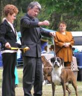 Jerry Veteran in Show SIBC November 2005 at 10.5 years old