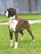 Rico at 12 months
