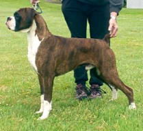 Rico at 12 months
