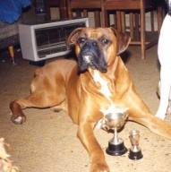 Rocky - Special Beginners winner