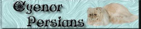 Cyenor Persians