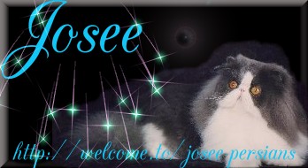Josee Persians