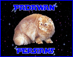 Padawan Persians