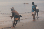 baling sayo kaayo