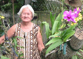 Mrs. Fe Alvarado Cabrera
