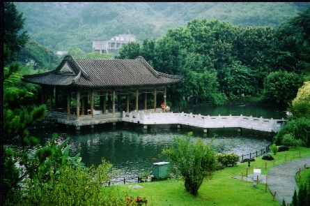Chinese garden near the museum