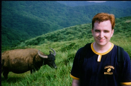 Yes, that's a real water buffalo