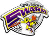 Saint Louis Swarm