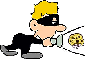 Cookie Burglar