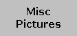 Misc Pictures