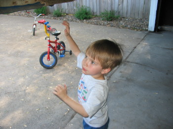 4 year pictures