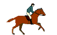 horse and rider