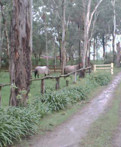 Fullfy fenced paddocks