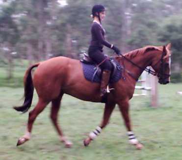 Alice Johnson riding Bozeman
