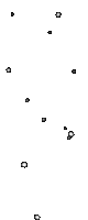 stars1.gif (4000 bytes)