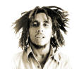 Bob with white background