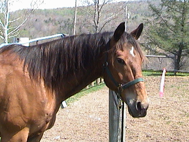 Handsome boy !!!!