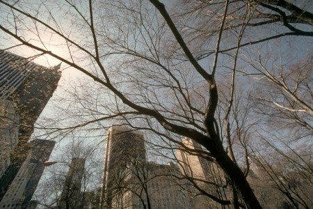 Central Manhattan, New-York, NY (USA) - photo by Christian Guittet