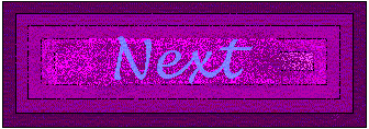 /user/next.gif