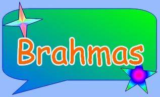 Brahma the cow?&nbsp; Nope, guess again!!