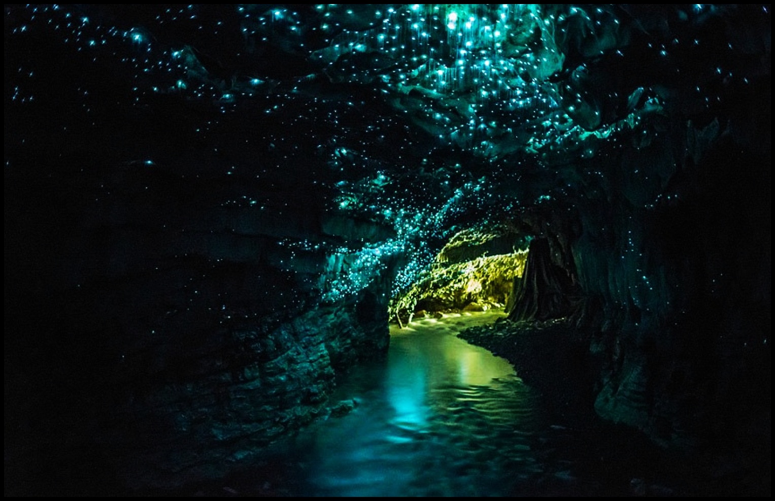 Glow worm cave, New Zealand