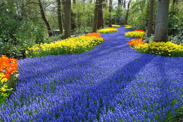 Keukenhof Park, Netherlands