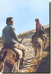 Foto der &Uuml;bersetzer