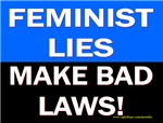 Feminist's are Liars